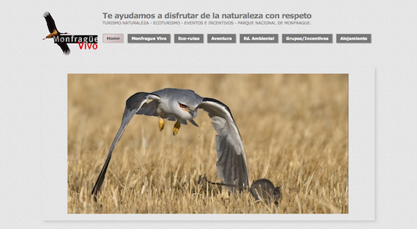 web monfrague vivo